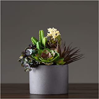 Recensioni di fioriere in cemento alte