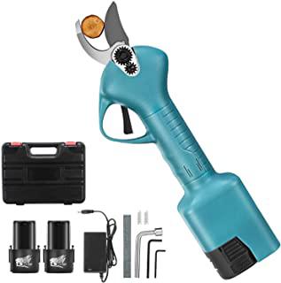 Recensioni di forbice elettrica per potatura