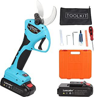 Recensioni di forbice per potatura telescopica professionale