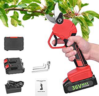 Recensioni di forbice potatura elettrica