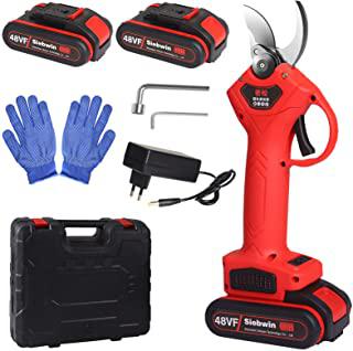 Recensioni di forbici a batteria per potatura