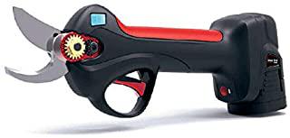 Recensioni di forbici da potatura a batteria amazon