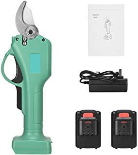 Recensioni di forbici da potatura a batteria campagnola