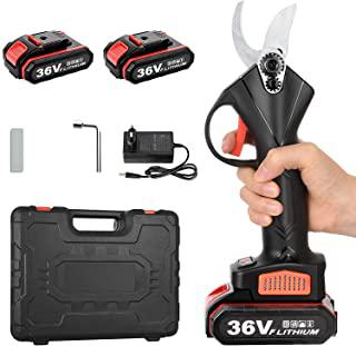 Recensioni di forbici da potatura a batteria stihl