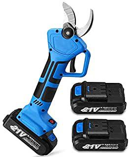 Recensioni di forbici da potatura a batteria
