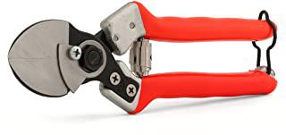 Recensioni di forbici da potatura castellari