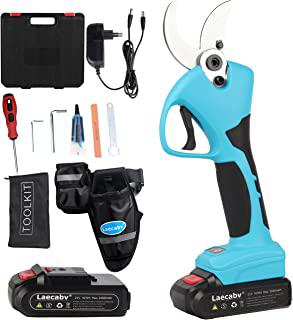 Recensioni di forbici elettriche per potatura usate