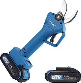 Recensioni di forbici elettriche per potatura