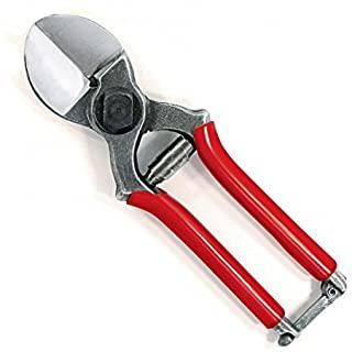 Recensioni di forbici per potatura olivi professionali