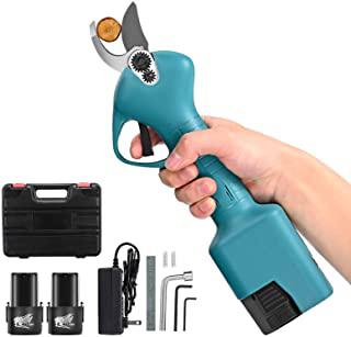 Recensioni di forbici potatura a batteria professionali
