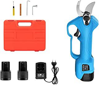 Recensioni di forbici potatura elettriche