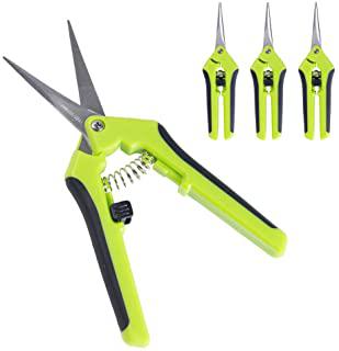 Recensioni di forbici potatura