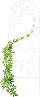 Recensioni di griglie per giardino