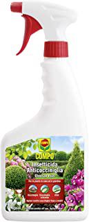 Recensioni di insetticida per afidi