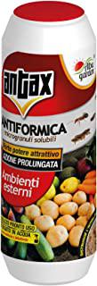 Recensioni di insetticida per formiche