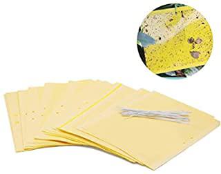 Recensioni di insetticida per zecche