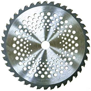 Recensioni di lame per decespugliatore