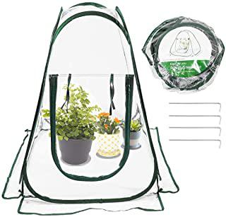 Recensioni di mini serra