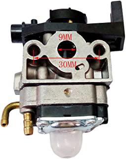 Recensioni di motore decespugliatore