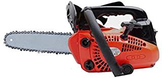 Recensioni di motosega potatura echo