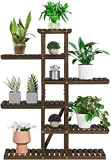 Recensioni di piante da giardino resistenti al sole