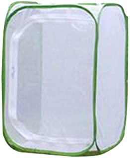 Recensioni di piccola serra