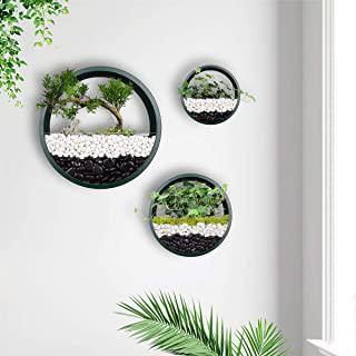 Recensioni di portavasi da muro