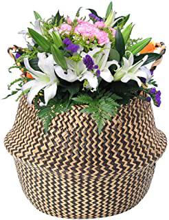 Recensioni di portavasi in vimini