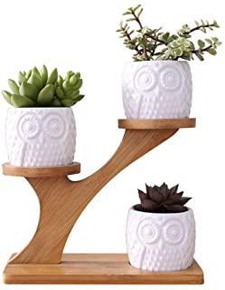 Recensioni di portavasi interno