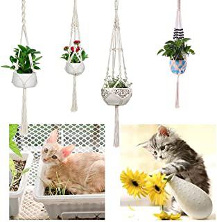 Recensioni di portavaso rattan