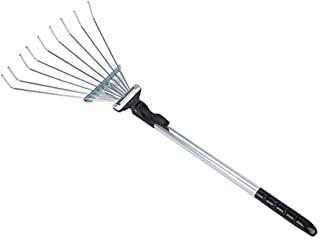 Recensioni di rastrello per foglie