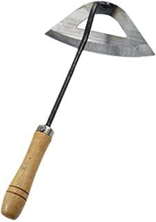 Recensioni di rastrello per orto