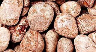 Recensioni di sassi da giardino grandi