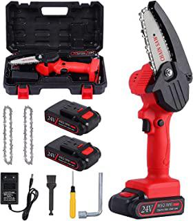 Recensioni di seghetto a batteria per potatura