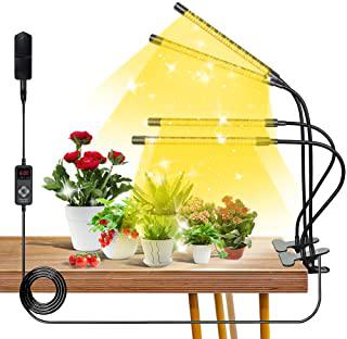 Recensioni di serra da interno con led