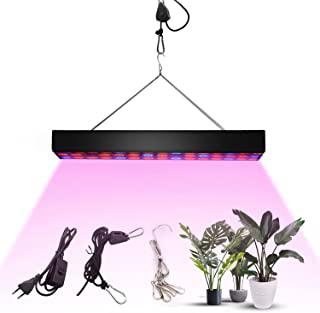 Recensioni di serra da interno