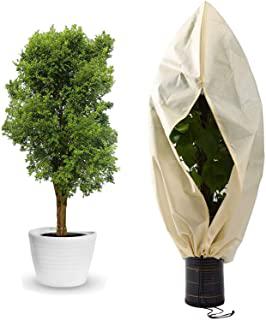 Recensioni di serra fredda