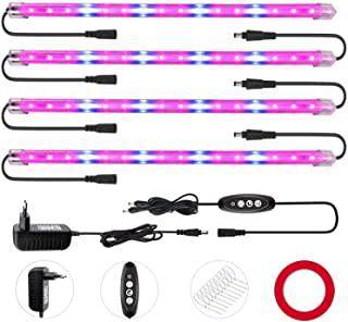 Recensioni di serra indoor