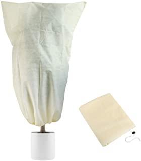 Recensioni di serra per limoni in vaso