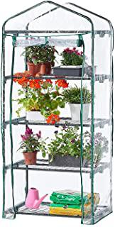 Recensioni di serra per piante grasse