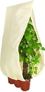 Recensioni di serra per piante inverno