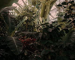 Recensioni di serra tropicale