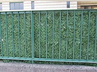 Recensioni di siepi per giardino