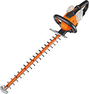 Recensioni di tagliasiepi a batteria worx
