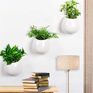 Recensioni di vasi per giardino verticale