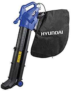 Recensioni di soffiatore aspiratore trituratore