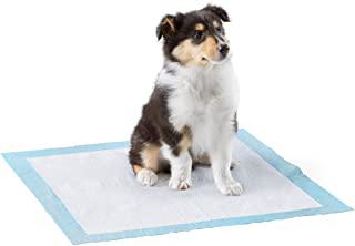 Recensioni di tappetini cane
