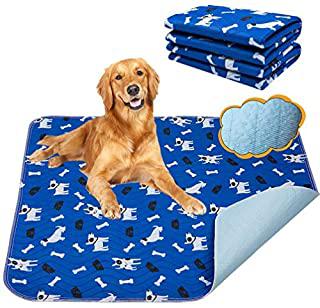Recensioni di tappetini igienici per cani