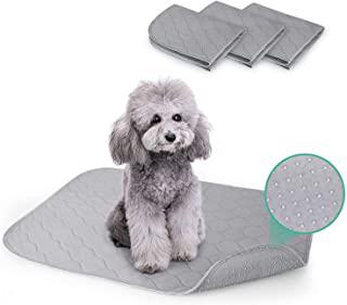 Recensioni di tappetino igienico per cani