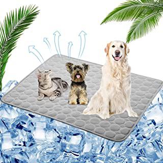 Recensioni di tappetino rinfrescante cane